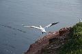 50DP-2009-015 Bild018